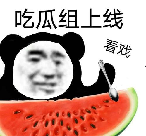 明星黑料女 吃瓜爆料每日大赛最新动态,吃瓜爆料，每日大赛最新动态揭秘